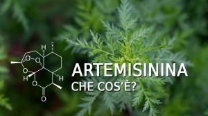artemisinina